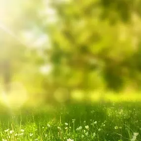 Bild von Tian Ai Qigong Institut