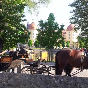 Bild von Schloss-Teichhaus