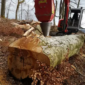 Holzspaltung