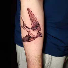 Bild von Tim Hart Tattoo
