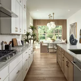 Well-equipped kitchen with ample countertop and cabinet space