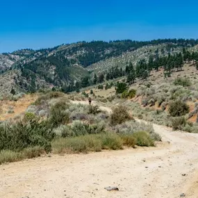 Nearby year-round outdoor activities
