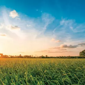 Tranquil, small-town living with all the conveniences that Leander has to offer