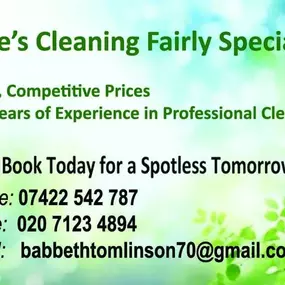 Bild von Rose The Cleaning Fairy Specialist
