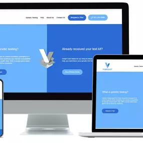 Vibrant Website built by Polarity Design Co: https://vibranttesting.com/