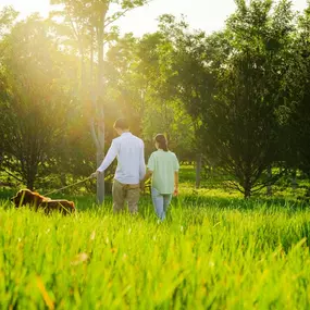 Walking trails offer plenty of outdoor recreation