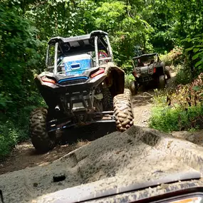 Bild von Wide Open Throttle