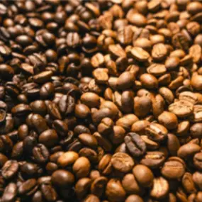 Bild von Blue Hummingbird Coffee Roastery and Tasting Room
