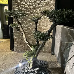 Bild von Le Strass réception