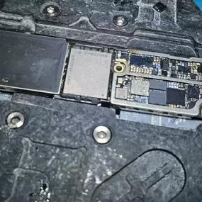 Bild von Florida Repair Ninja