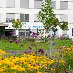 Bild von Spital Uster AG