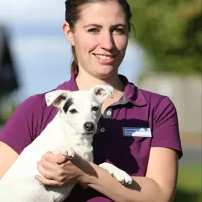 Bild von Tierarztpraxis Dr. Michael Wolf