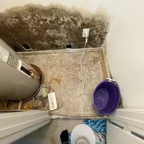 mold damage in water pump room