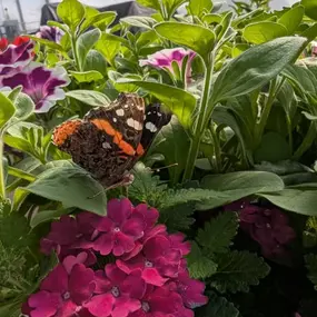 Bild von Lebens Floral &  Gardens