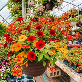 Bild von Lebens Floral &  Gardens