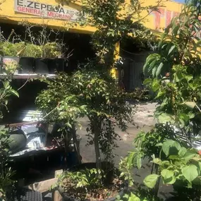 Nueva Esperanza Nursery