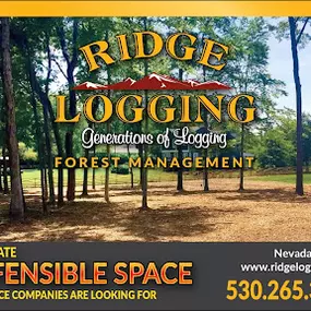 Bild von Ridge Logging Inc