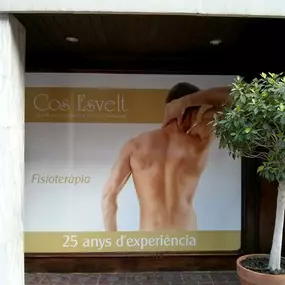 COSESVELTBARCELONAFISIOTERAPIA.jpg