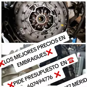 304374481-1-79FLelPBDq1749746897966_800x0.png
