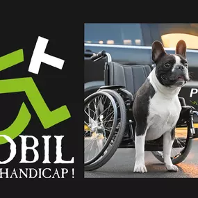 Bild von Fahrschule Ponier
