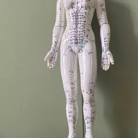 Bild von Integrative Schmerztherapie Dr. med. S. Lilienblum