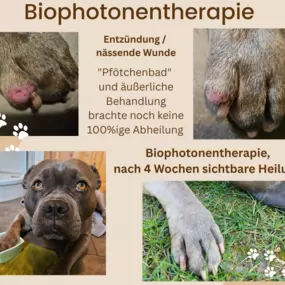 Bild von Kräuterpfoten