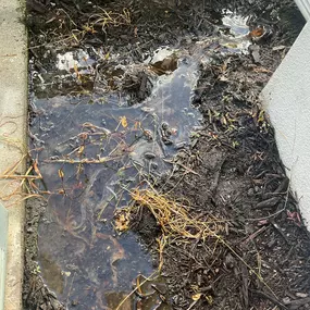 Bild von Boyd Brothers Service Inc