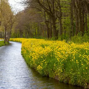Bild von Garner Hotel Cottbus Süd by IHG