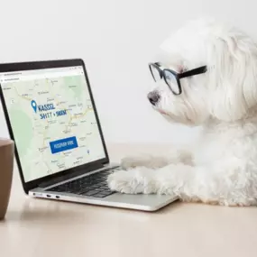 Bild von Alisha Schmidt