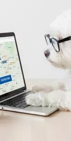 Bild von Alisha Schmidt