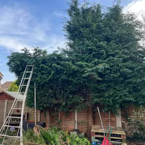 Bild von GSR Fencing & Landscaping