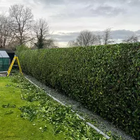 Bild von GSR Fencing & Landscaping
