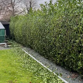 Bild von GSR Fencing & Landscaping