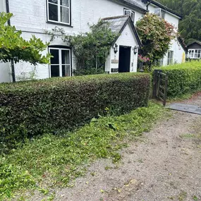 Bild von GSR Fencing & Landscaping