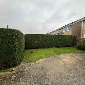 Bild von GSR Fencing & Landscaping
