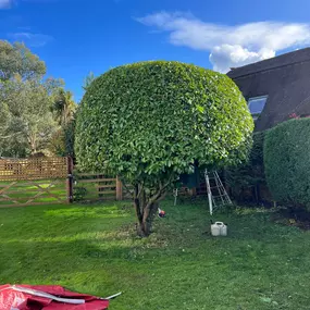 Bild von GSR Fencing & Landscaping