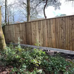 Bild von GSR Fencing & Landscaping