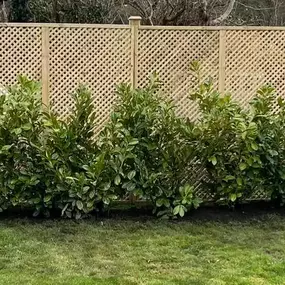 Bild von GSR Fencing & Landscaping