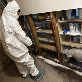 Bild von Secure Restoration