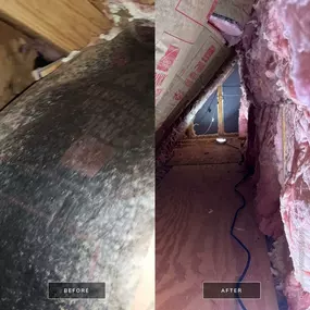 Bild von Secure Restoration