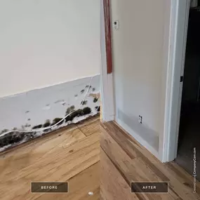 Bild von Secure Restoration