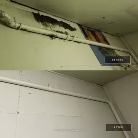 Bild von Secure Restoration