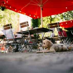 Bild von Capra Sauerteigpizzeria - Leipzig-Plagwitz
