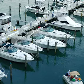 Bild von Omega Insurance Agency Tampa ???? Auto Insurance, Home Insurance & More