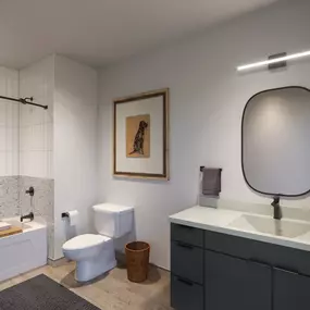 Rendering of the bathroom