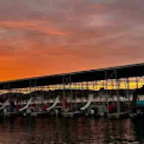 Bild von Austin's Boat Tours