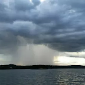 Bild von Austin's Boat Tours