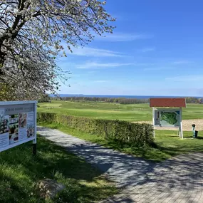 Bild von Reethaus Svantevit