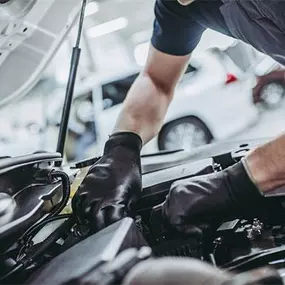 Multi Purpose Vehicle Inspection