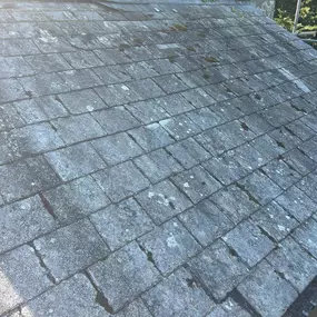 Bild von Shoreline Roofing Cornwall